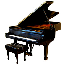 Pianina a klavíry 300–400 kg